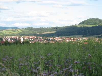 Verbot von Schottergärten in Baden-Württemberg